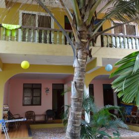 DSC02075-280x280
