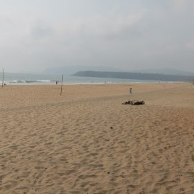 IMG_8030-2-280x280