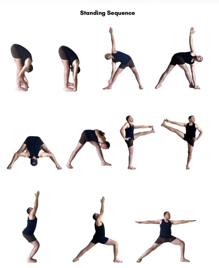 Yoga TTC Goa